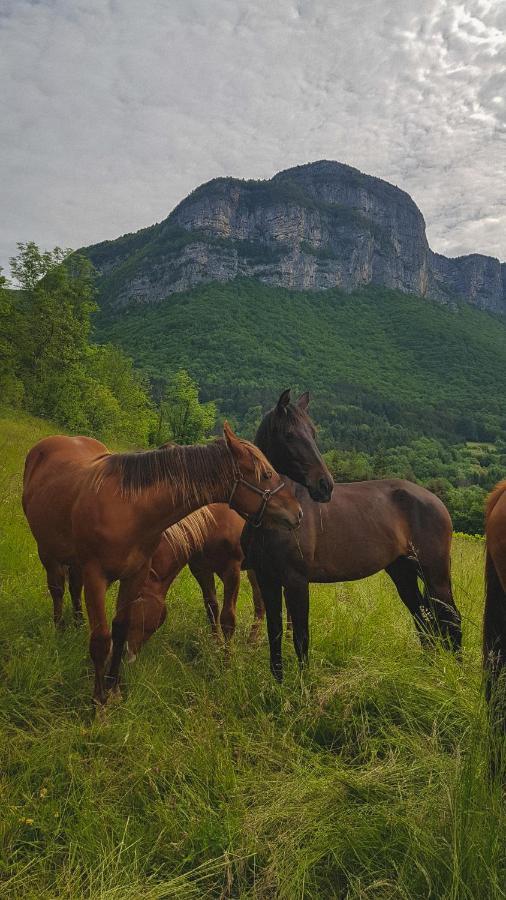 Studio Au Pied De La Montagne Et Vue Imprenable Saint-Alban  Екстер'єр фото