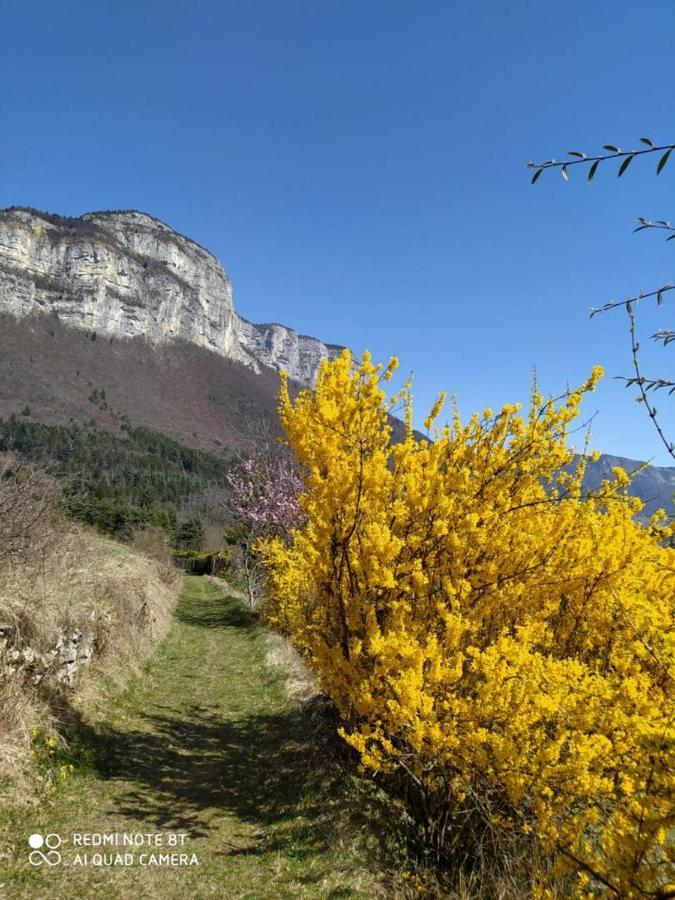 Studio Au Pied De La Montagne Et Vue Imprenable Saint-Alban  Екстер'єр фото