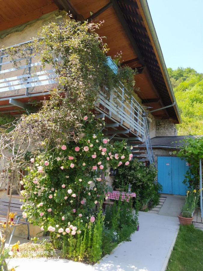 Studio Au Pied De La Montagne Et Vue Imprenable Saint-Alban  Екстер'єр фото