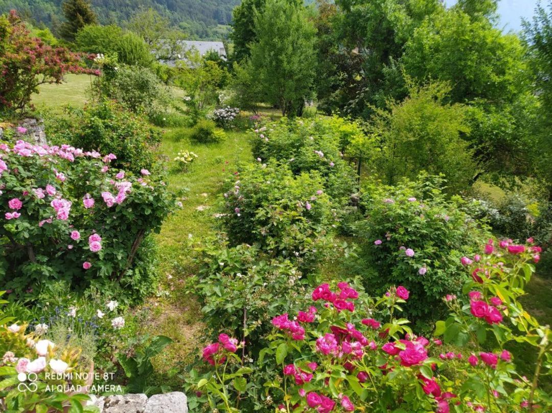 Studio Au Pied De La Montagne Et Vue Imprenable Saint-Alban  Екстер'єр фото