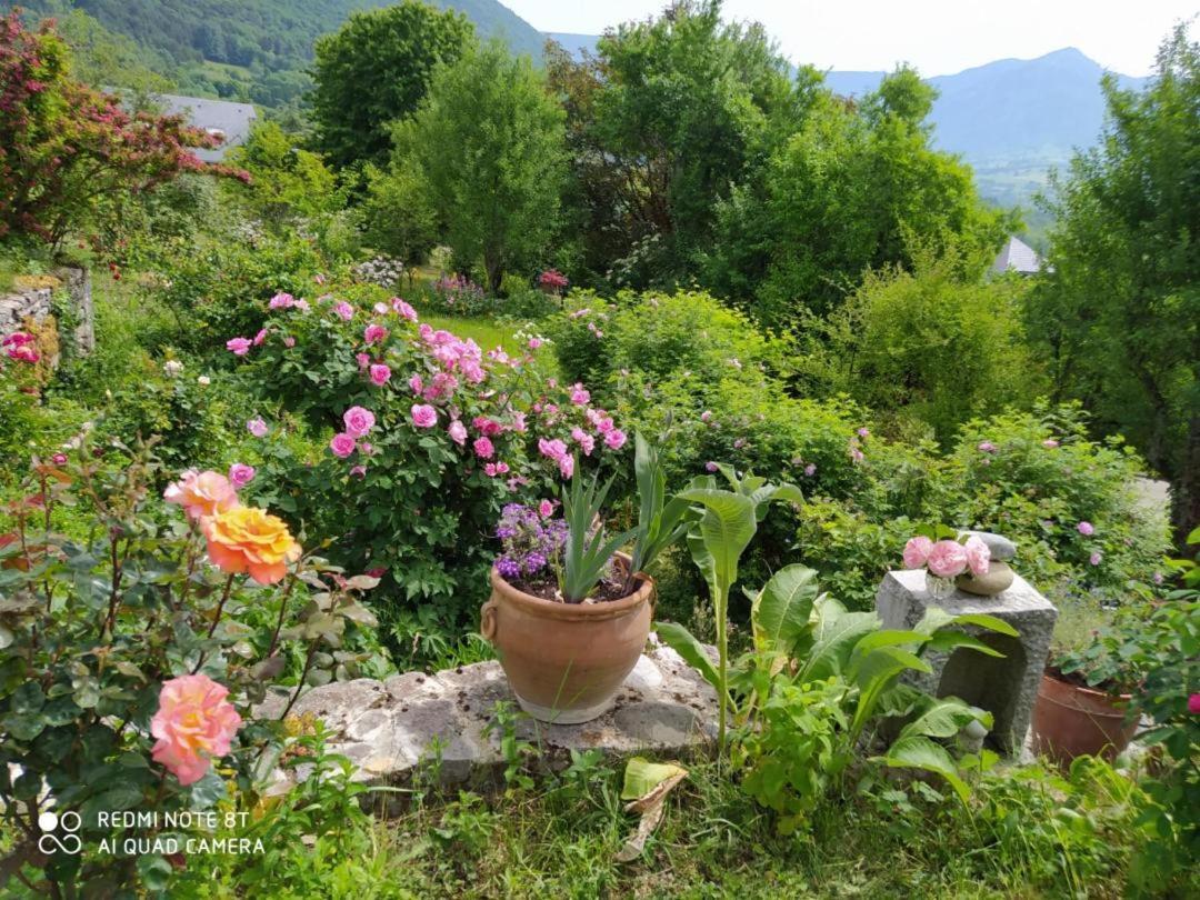 Studio Au Pied De La Montagne Et Vue Imprenable Saint-Alban  Екстер'єр фото